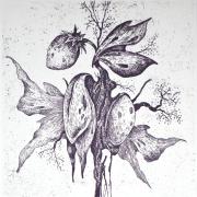 Vízivirág, 2024, 10x10 cm