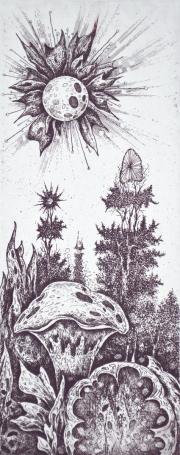 Napkő erdő, 2024, 8x20 cm