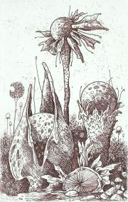 Kristályvirágok, 2011, 6,5 x 10 cm