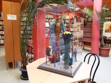 Wigner Középiskola kiállítás